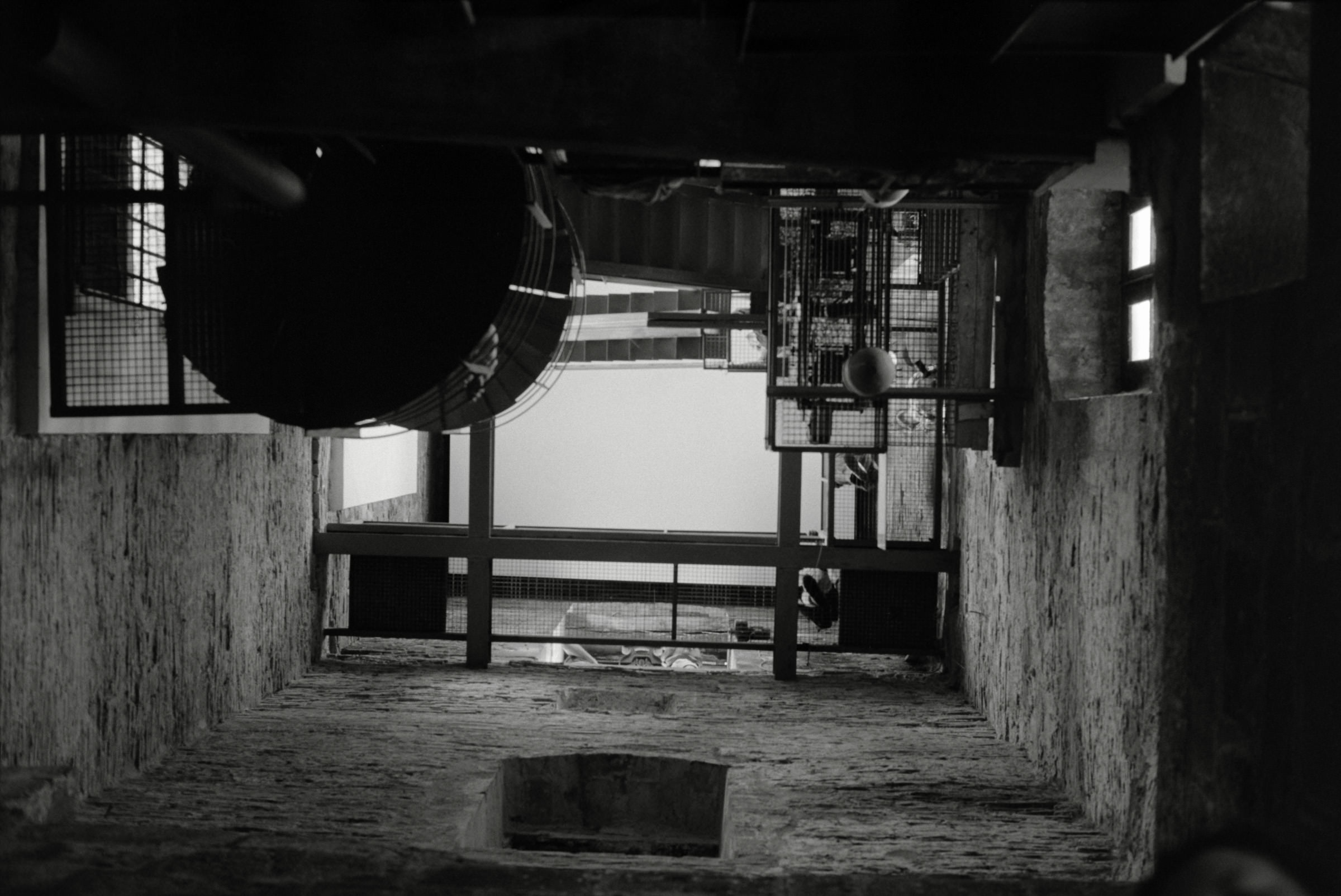 AHP F1995 05 008 sc240826 img12 NLP